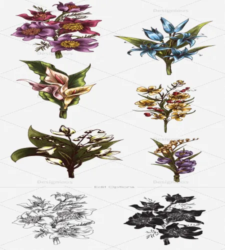 تحميل ورود مرسومه جديده Vector Floral Bouquets Set 2