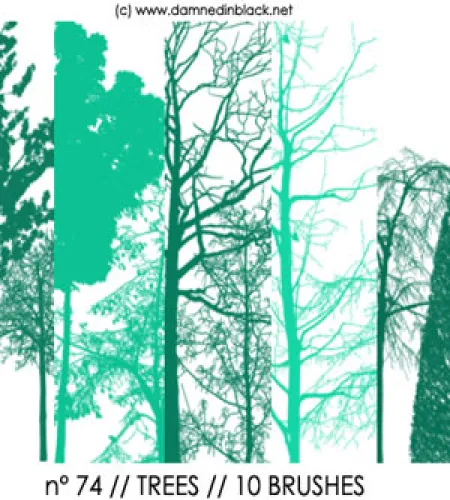 فرش اشجار فوتوشوب جميله وجديده تحميل مباشر trees