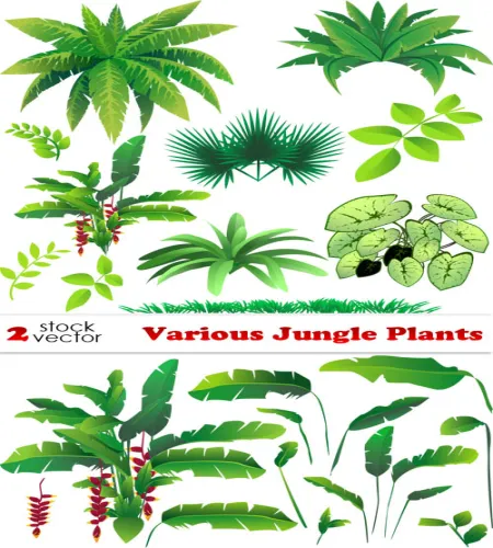 فيكتور اوراق خضراء باشكال مختلفه Vectors - Various Jungle Plants