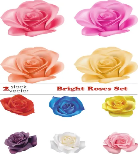 تصميم ورود ملونه Vector - Bright Roses Set