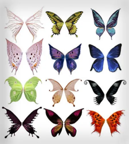 تحميل وتنزيل فرش الفوتوشوب الفرشات جميلة ورائعة Butterfly Wings Brush Set تحميل وتنزيل فرش الفوتوشوب الفرشات جميلة ورائعة Butterfly Wings Brush Set