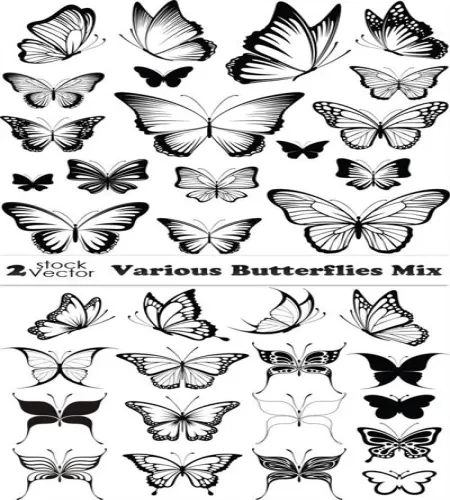 تصميم فراشات مرسومه روعه Various Butterflies Mix