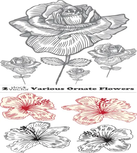 ورود فيكتور مرسومه Various Ornate Flowers