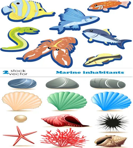 ملحقات بحريه للتصاميم Vectors - Marine inhabitants Set