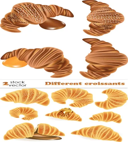 تصميم كرواسان كروسان فيكتور Different croissants vector