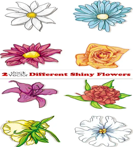 تصميم ورود مرسومه ملونه وجديده Different Shiny Flowers