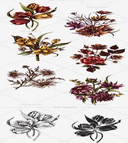 ورود وزهور مرسومه رائعه Vector Floral Set 4