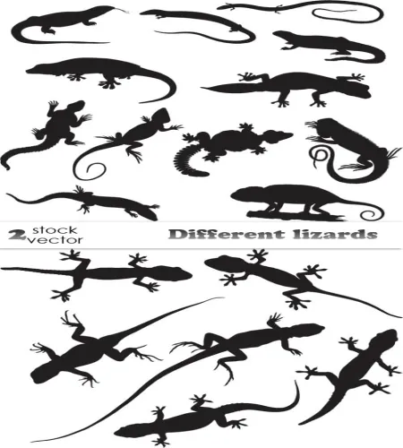 تصاميم زواحف منوعه Vectors - Different lizards