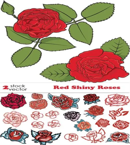 تصميم ورود حمراء Vectors - Red Shiny Roses