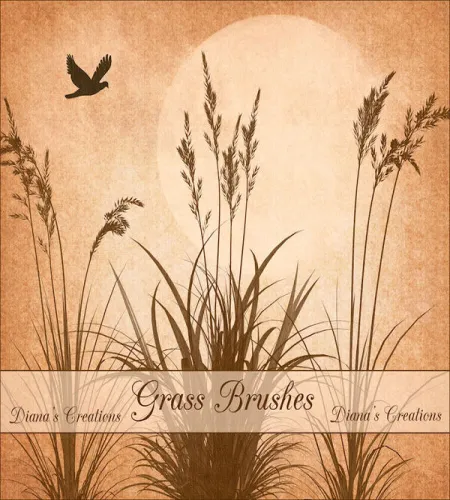 تحميل وتنزيل فرش فوتوشوب العشب Grass Brushes