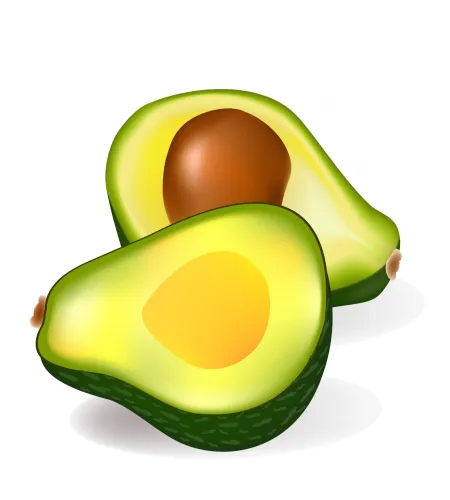 تحميل فيكتور فاكهة الافوكاتو Two half avocados