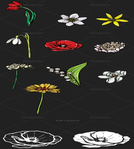 ورود مرسومه رائعه Floral Vector Set 108
