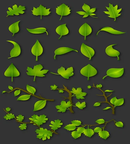 تحميل فيكتور غصون واوراق خضراء Green Leaves Vector Set 1