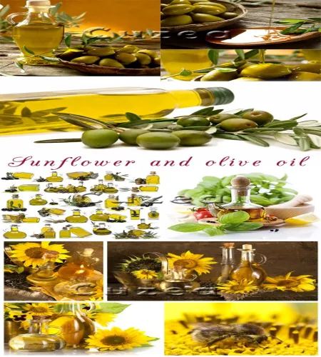 ستوكات زيتون Sunflower and olive oil - Stock photo