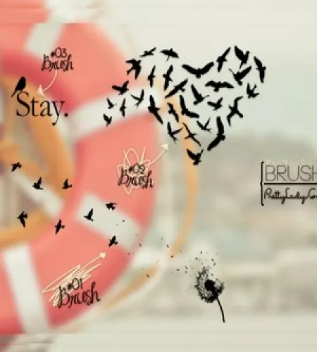 فرش طيور بوضعيات مختلفه للفوتوشوب birds brushes تحميل مباشر