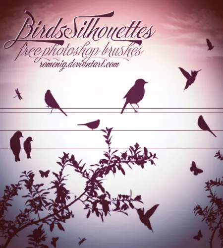 فرش فوتوشوب طيور Birds Silhouettes brushes