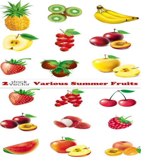فواكه منوعه فيكتور Vectors - Various Summer Fruits
