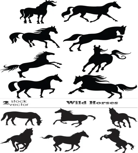 تصاميم خيول جميله Vectors - Wild Horses