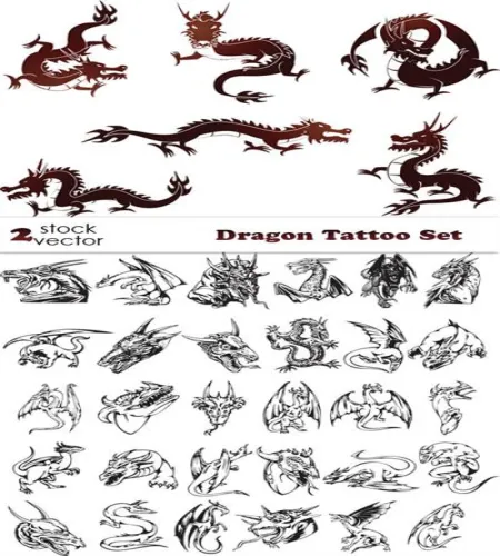 فيكتور تنين باشكال مختلفه Vectors - Dragon Tattoo Set