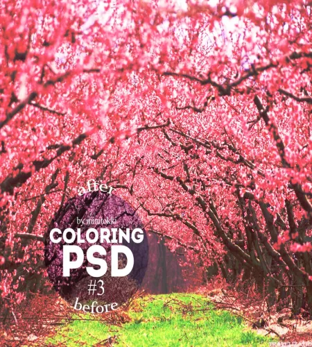 تحميل وتنزيل تصميم فوتوشوب مشهد طبيعي الوان Coloring PSD تحميل وتنزيل تصميم فوتوشوب مشهد طبيعي الوان Coloring PSD