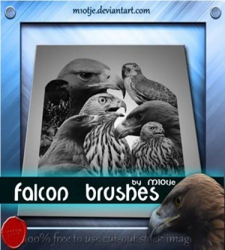 فرش فوتوشوب صقور جميله ومميزه Falcon Brushes
