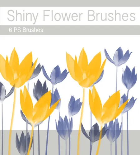 فرش فوتوشوب ورود جديده Shiny Flower Brushes