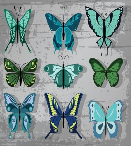 تحميل فيكتور فراشات روعه vectors -  Paper Butterfly Vector