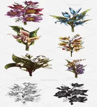 تحميل ورود مرسومه جديده Vector Floral Bouquets Set 2