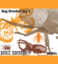 فرش حشرات فوتوشوب جميله Brushes - Bug 1