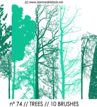 فرش اشجار فوتوشوب جميله وجديده تحميل مباشر trees