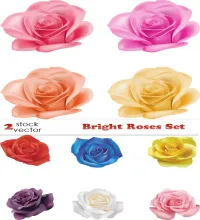 تصميم ورود ملونه Vector - Bright Roses Set