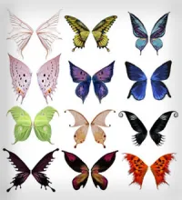 تحميل وتنزيل فرش الفوتوشوب الفرشات جميلة ورائعة Butterfly Wings Brush Set