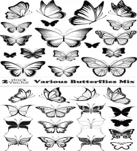 تصميم فراشات مرسومه روعه Various Butterflies Mix