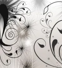 تحميل فرش فوتوشوب زخارف Swirls and Seeds