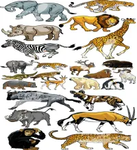 حيوانات فيكتور رائعه Set of cartoon animals