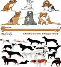 تصاميم كلاب منوعه فيكتور Different Dogs Set