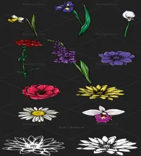 ورود مرسومه رائعه Vectors - Cartoon Animals Mix