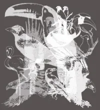 فرش فوتوشوب طيور روعه Birds Brushes