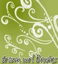 فرش فوتوشوب زخارف drawn curly brushes