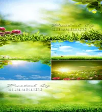 ستوكات صور من الطبيعه  Stock Photo - Natural Backgrounds 