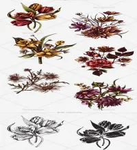 ورود وزهور مرسومه رائعه Vector Floral Set 4