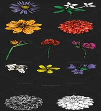 ورود مرسومه جديده Floral Vector Set 109