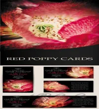 بطاقات ورود حمراء جميله Red Poppy Cards