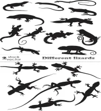 تصاميم زواحف منوعه Vectors - Different lizards