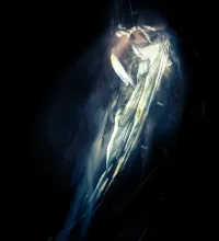 فرش فوتوشوب Abstract brushes جميله ومميزه تحميل مباشر