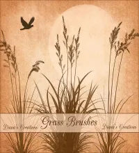 تحميل وتنزيل فرش فوتوشوب العشب Grass Brushes
