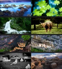 تحميل خلفيات منوعه عالية الدقه Must Have Full HD Wallpapers