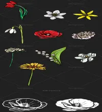 ورود مرسومه رائعه  Floral Vector Set 108