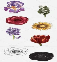 ورود مرسومه مميزه تنتظر ابداعاتكم Vector Floral Set 3
