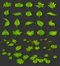 تحميل فيكتور غصون واوراق خضراء Green Leaves Vector Set 1